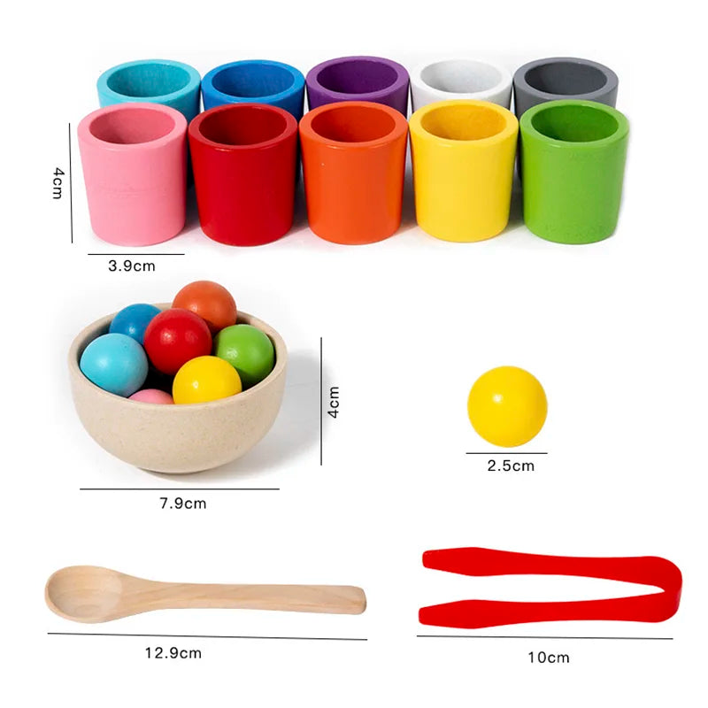 Montessori Sorting Cups – Early Learning STEM Game
