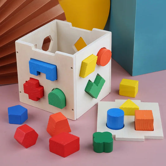 Montessori Intelligence Box – 15 Hole Geometric Sorting Toy