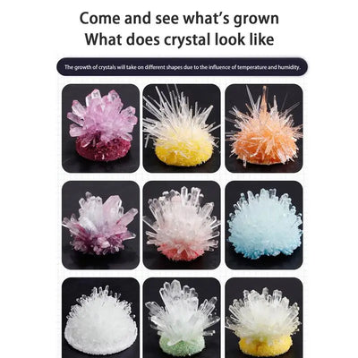 Crystal Growing Science Experiment Kit