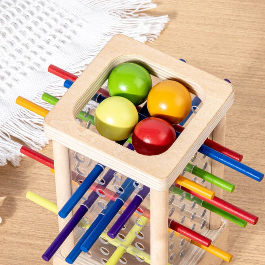 Montessori Stick Puzzle – Acrylic Cylinder Strategy Toy