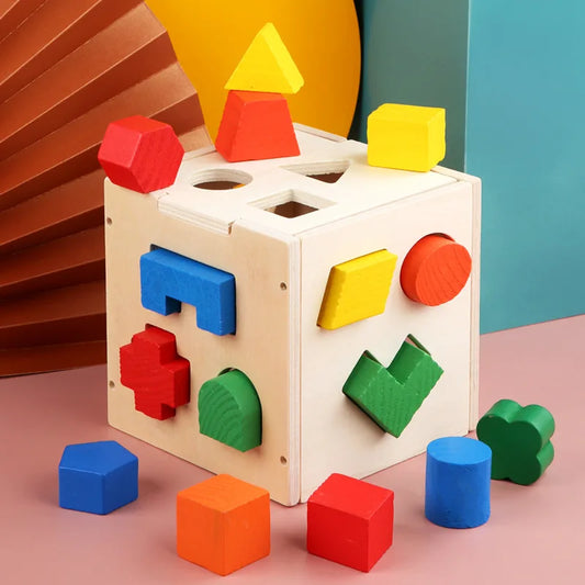 Montessori Intelligence Box – 15 Hole Geometric Sorting Toy