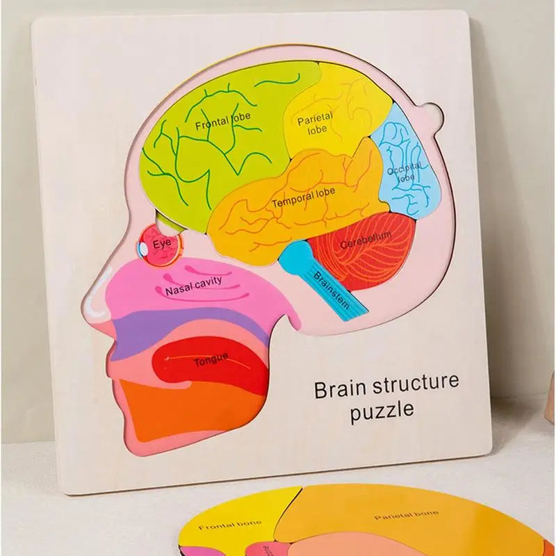 Anatomy Jigsaw Puzzle for Kids - 50 Pieces