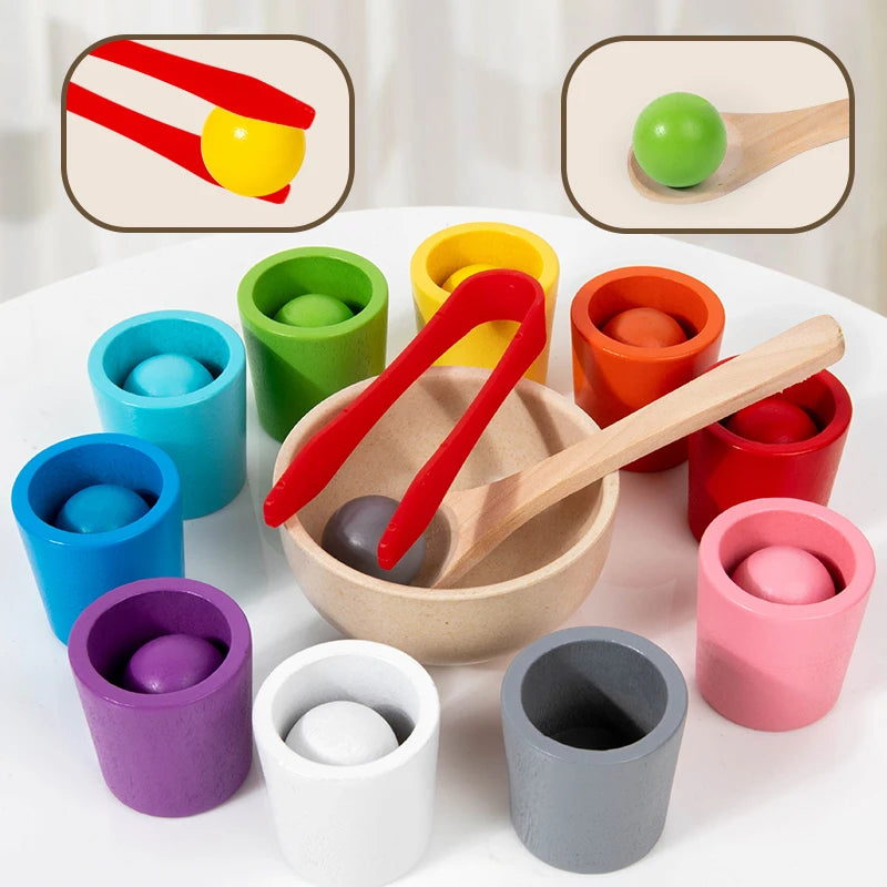 Montessori Sorting Cups – Early Learning STEM Game