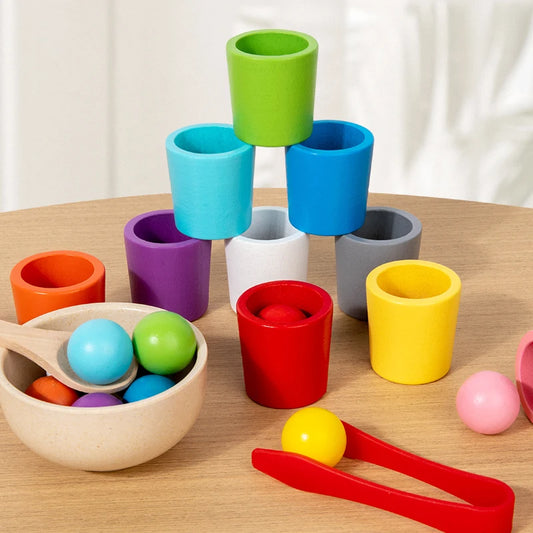 Montessori Sorting Cups – Early Learning Cognition Game