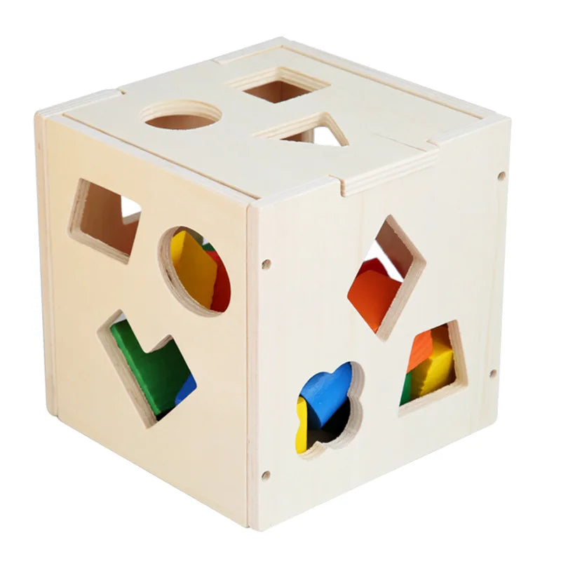 Montessori 15-Hole Geometric Sorting Box