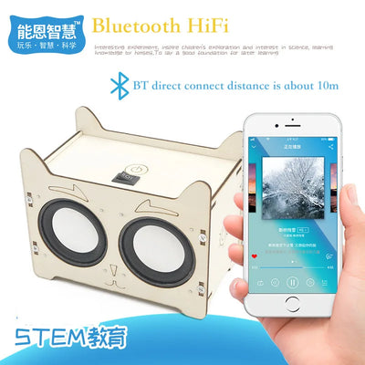DIY HiFi Voice Box Music Player Science Kit