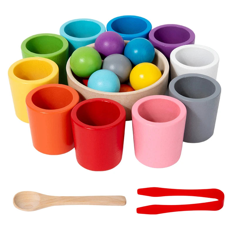 Montessori Sorting Cups – Early Learning STEM Game