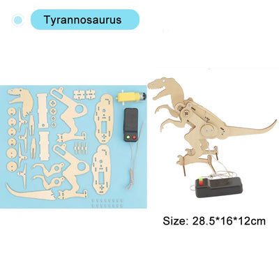 Mini Science Craft Kit for School Projects