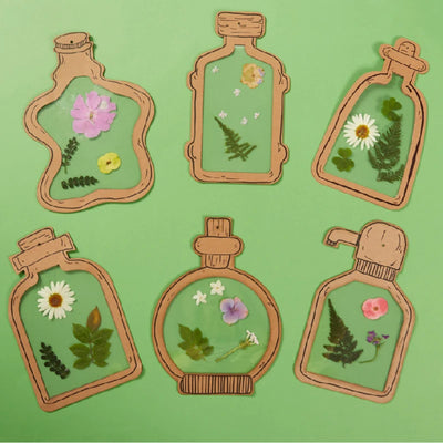 DIY Herbarium Art Craft Kit for Kids