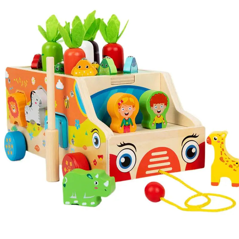 Montessori Carrot Sorting Puzzle Box