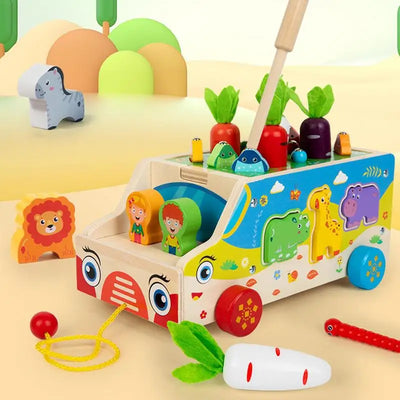 Montessori Carrot Sorting Puzzle Box