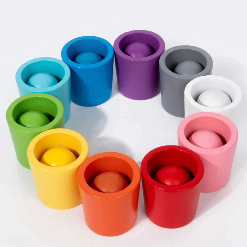 Montessori Sorting Cups – Early Learning STEM Game