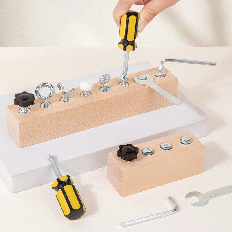 Montessori Fine Motor Skills Wooden Screw and Nut Set