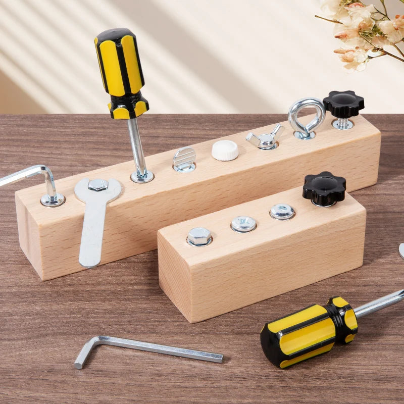 Montessori Fine Motor Skills Wooden Screw and Nut Set