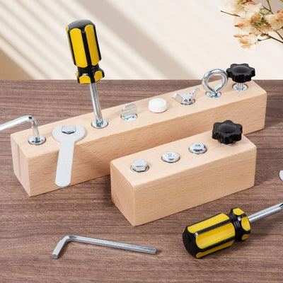 Montessori Fine Motor Skills Wooden Screw and Nut Set