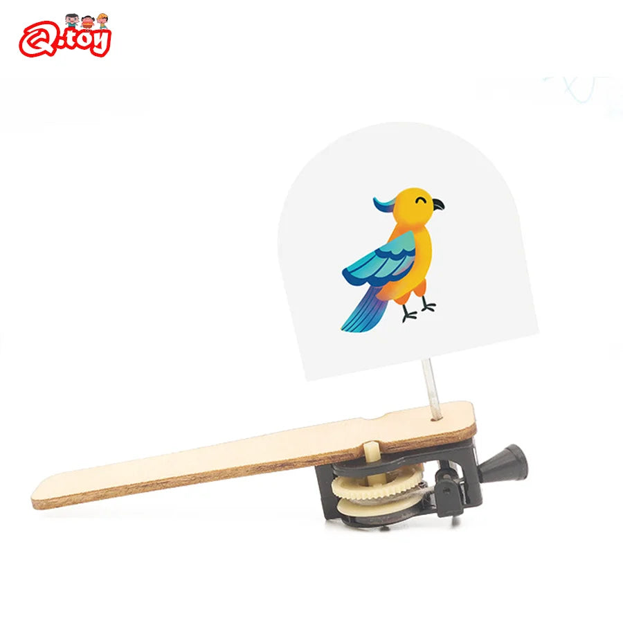 DIY Caged Bird STEM Model