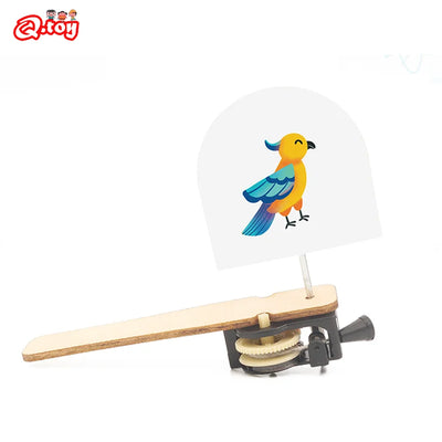 DIY Caged Bird STEM Model