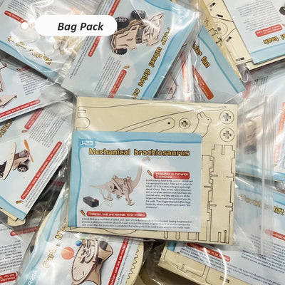 Mini Science Craft Kit for School Projects
