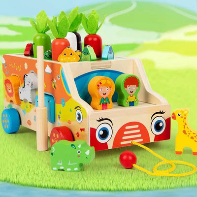 Montessori Carrot Sorting Puzzle Box
