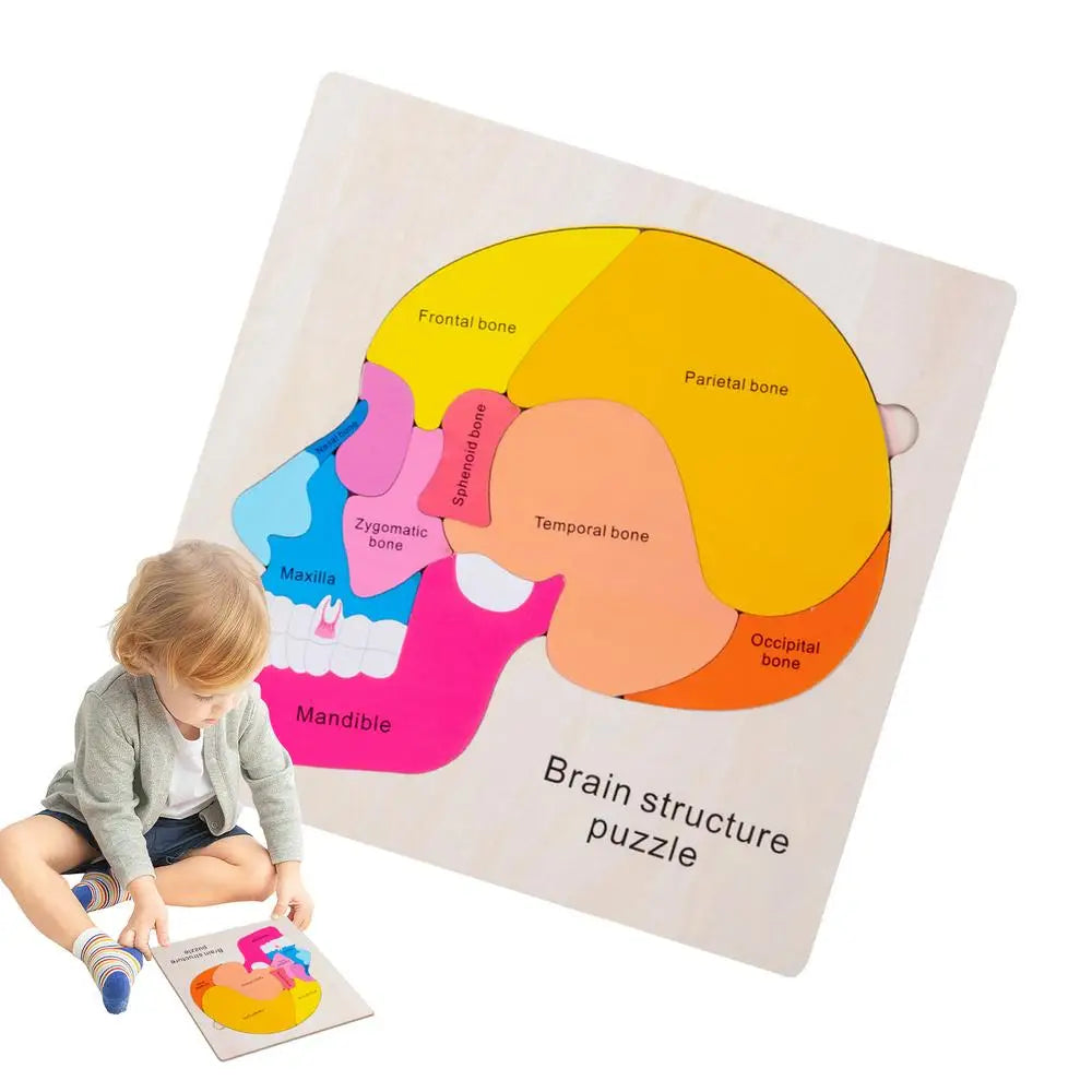 Anatomy Jigsaw Puzzle for Kids - 50 Pieces