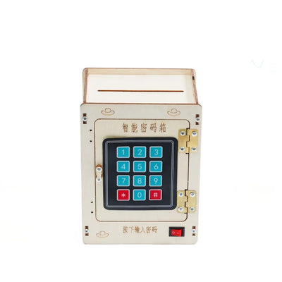DIY Smart Password Box Model