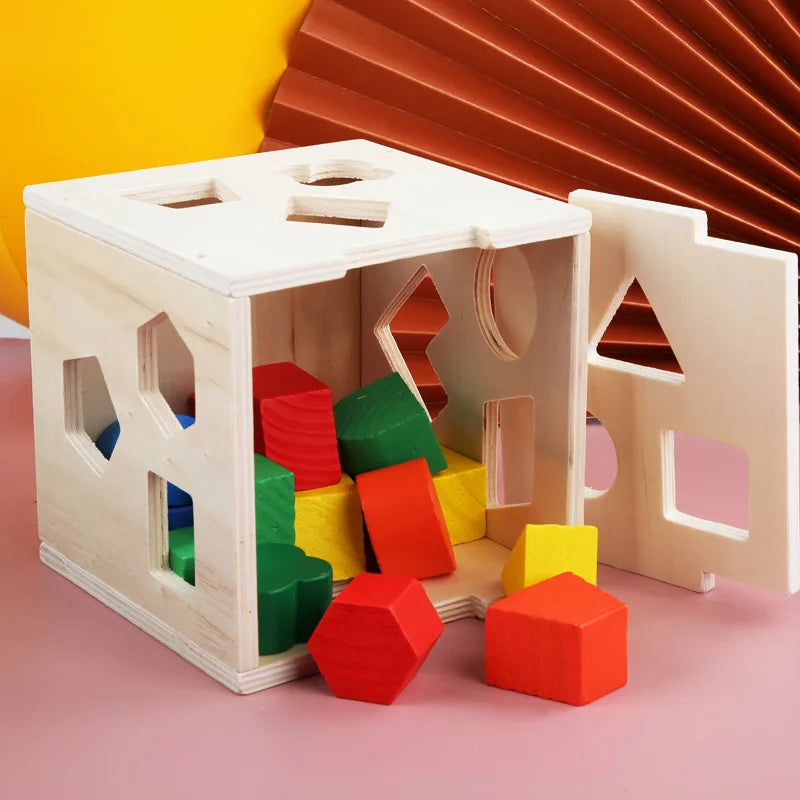 Montessori 15-Hole Geometric Sorting Box