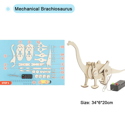 Mini Science Craft Kit for School Projects