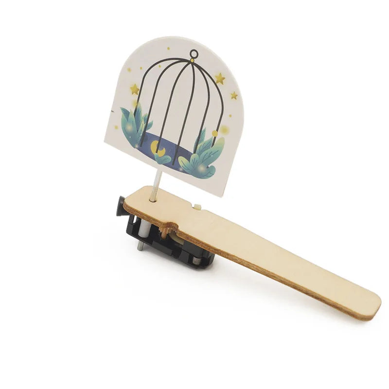 DIY Caged Bird STEM Model