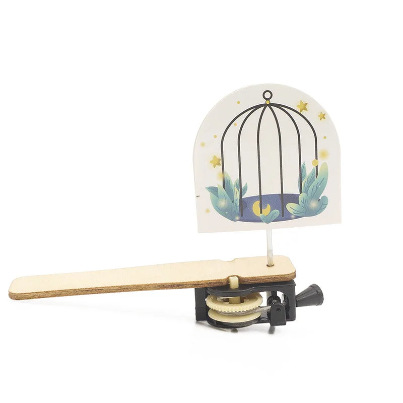 DIY Caged Bird STEM Model