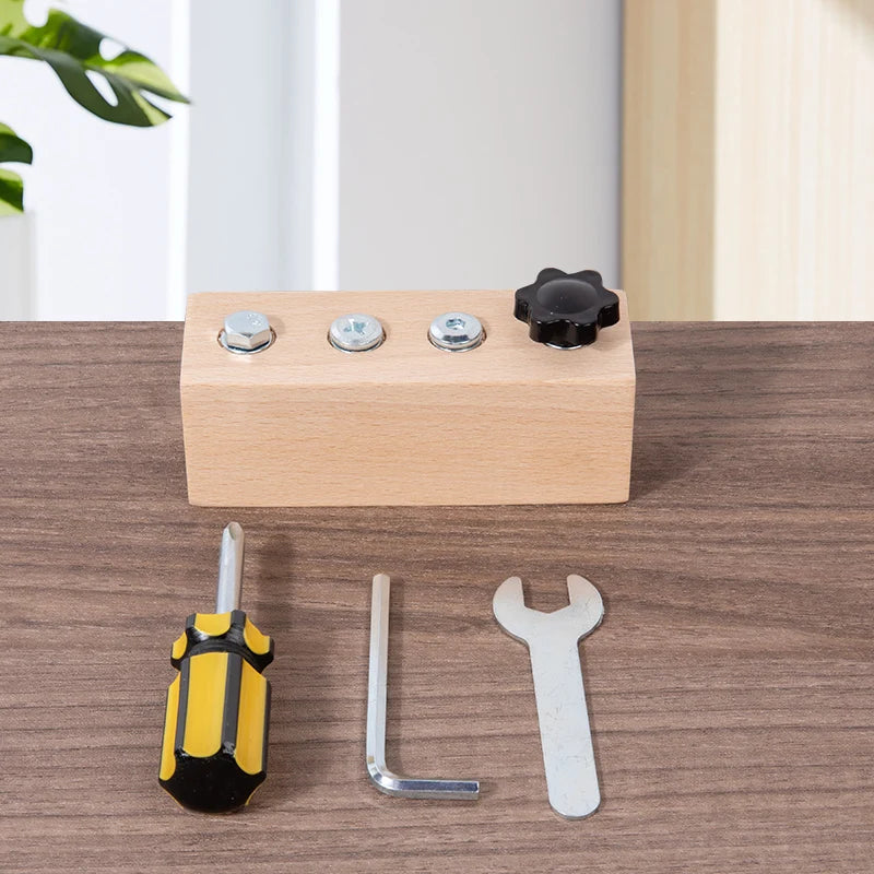 Montessori Fine Motor Skills Wooden Screw and Nut Set