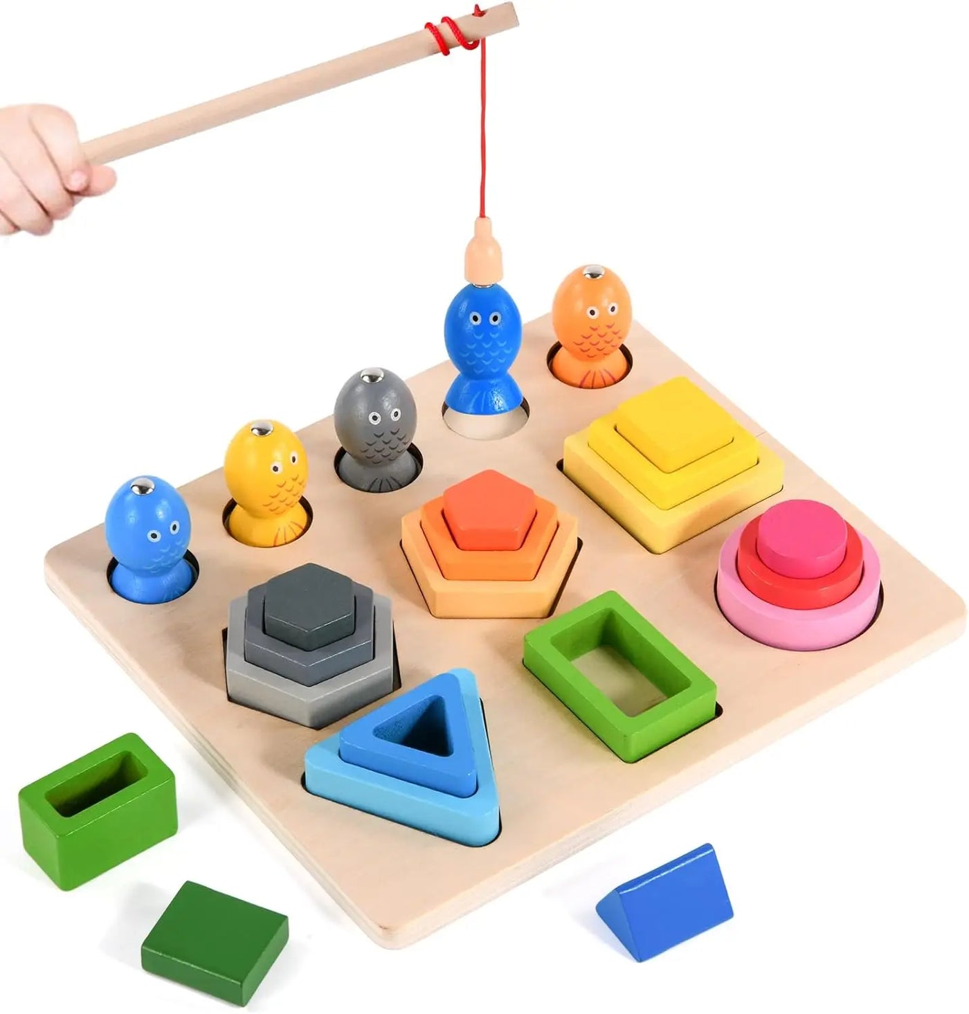Montessori Fine Motor Activity - Educational Sorting Toy