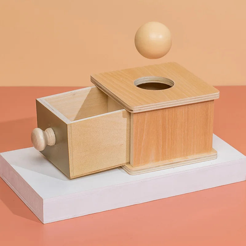 Montessori Colour-Matching Spinning Coin Box