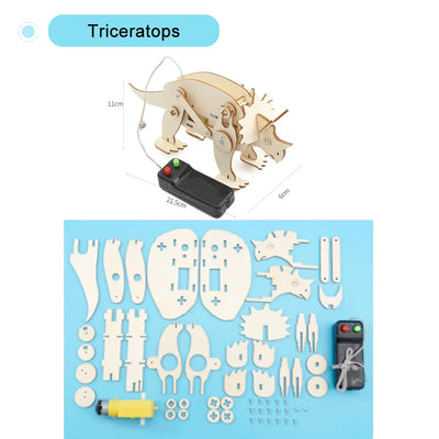Mini Science Craft Kit for School Projects