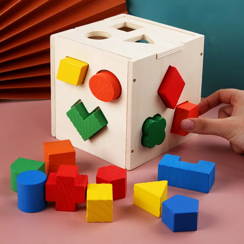 Montessori 15-Hole Geometric Sorting Box