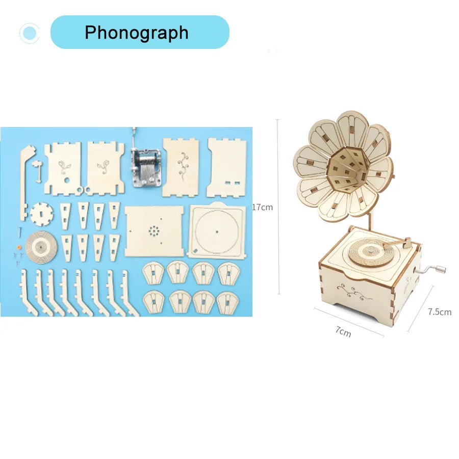 DIY Physical Science Craft Model