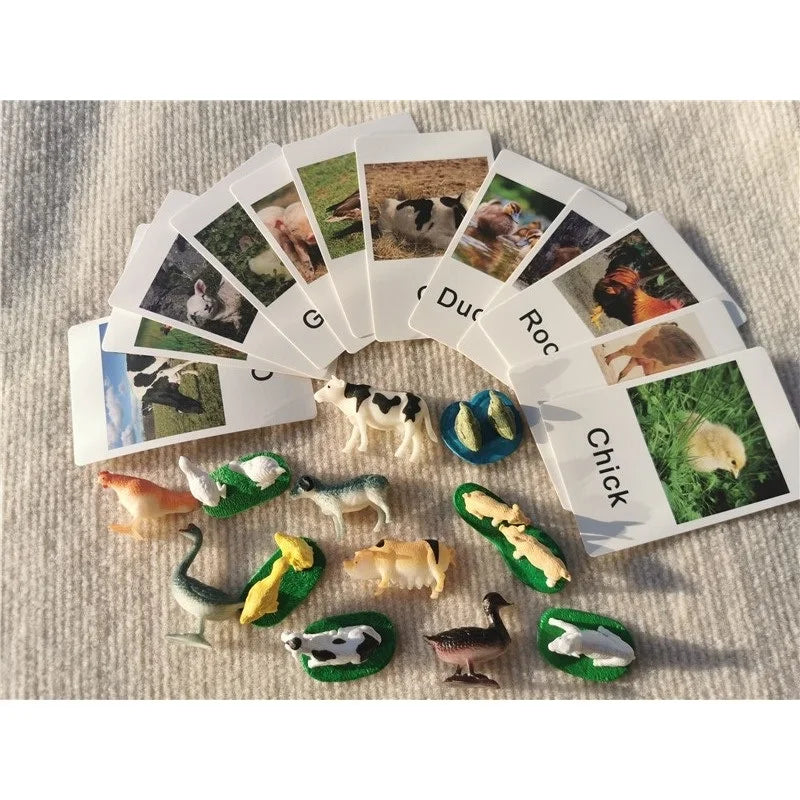 Montessori Animal Matching Board – Wooden Learning Toy with Cards