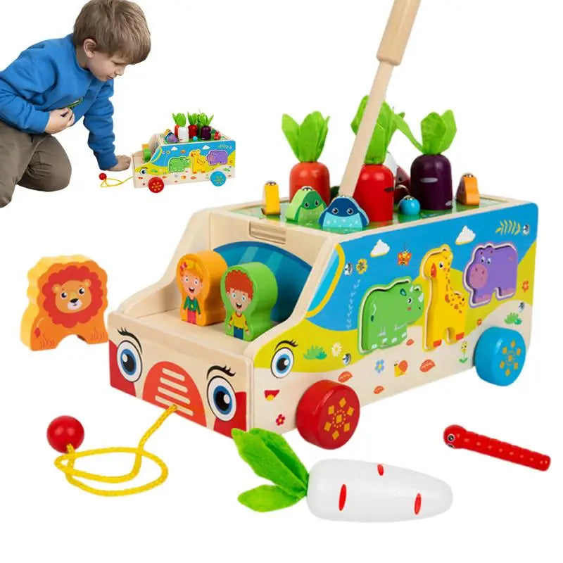 Montessori Carrot Sorting Puzzle Box