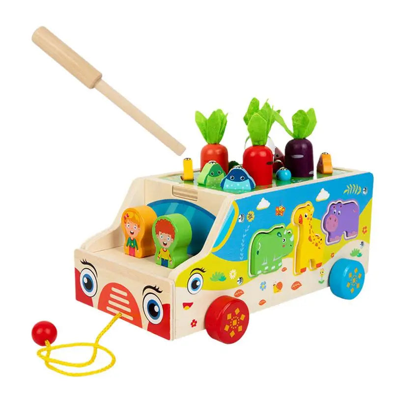 Montessori Carrot Sorting Puzzle Box