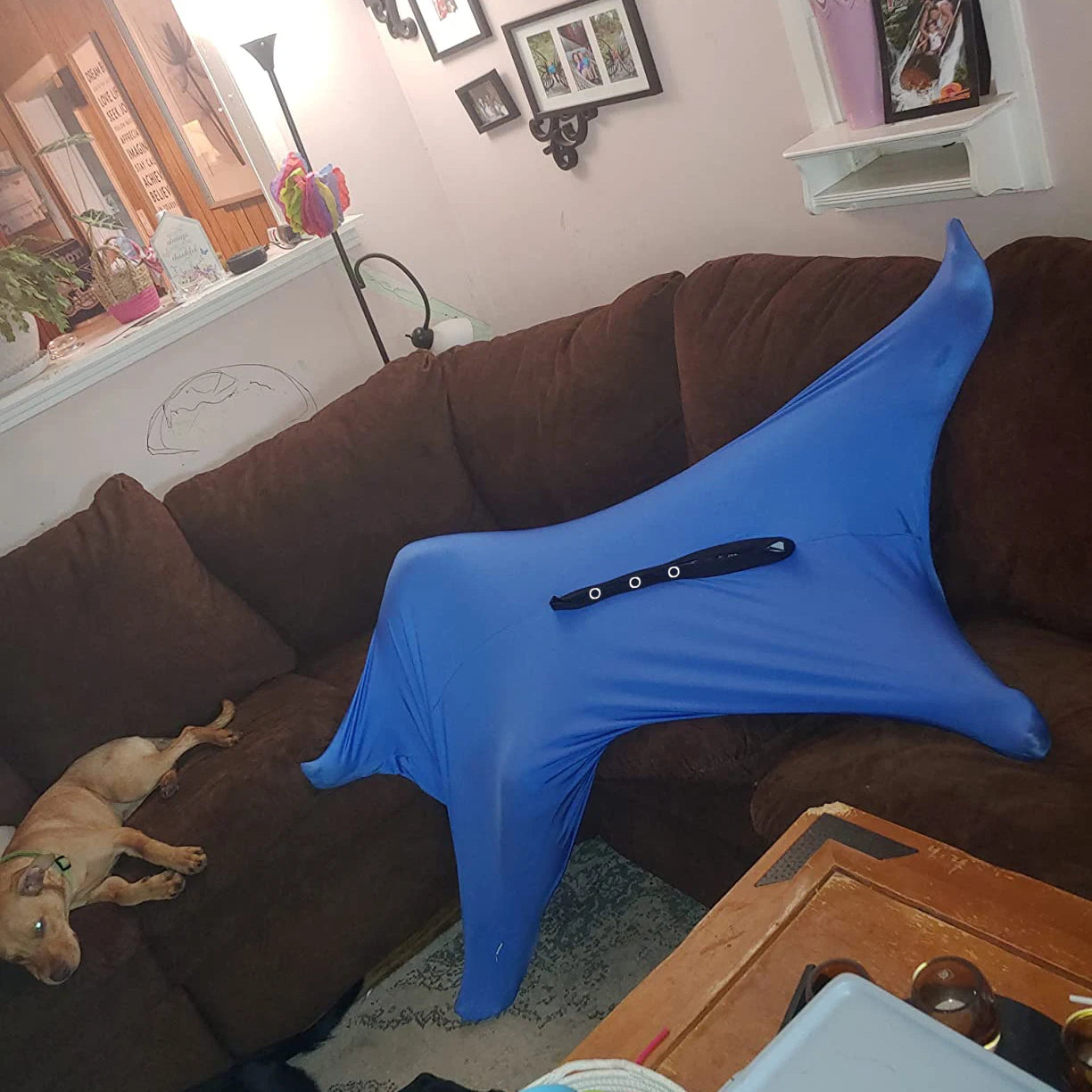 Sensory Body Sock for Children and Adults
