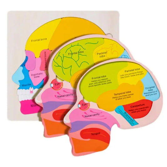 Engaging Anatomy Jigsaw Puzzle for Kids - Learn & Play!