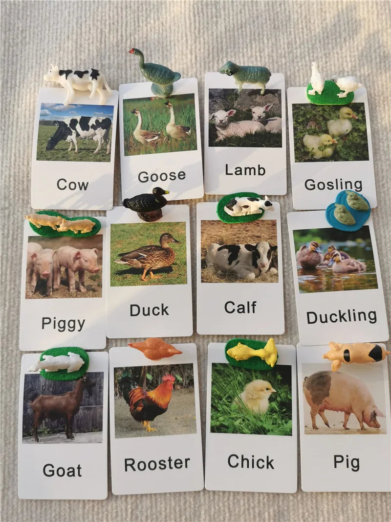 Montessori Animal Matching Board – Wooden Learning Toy with Cards