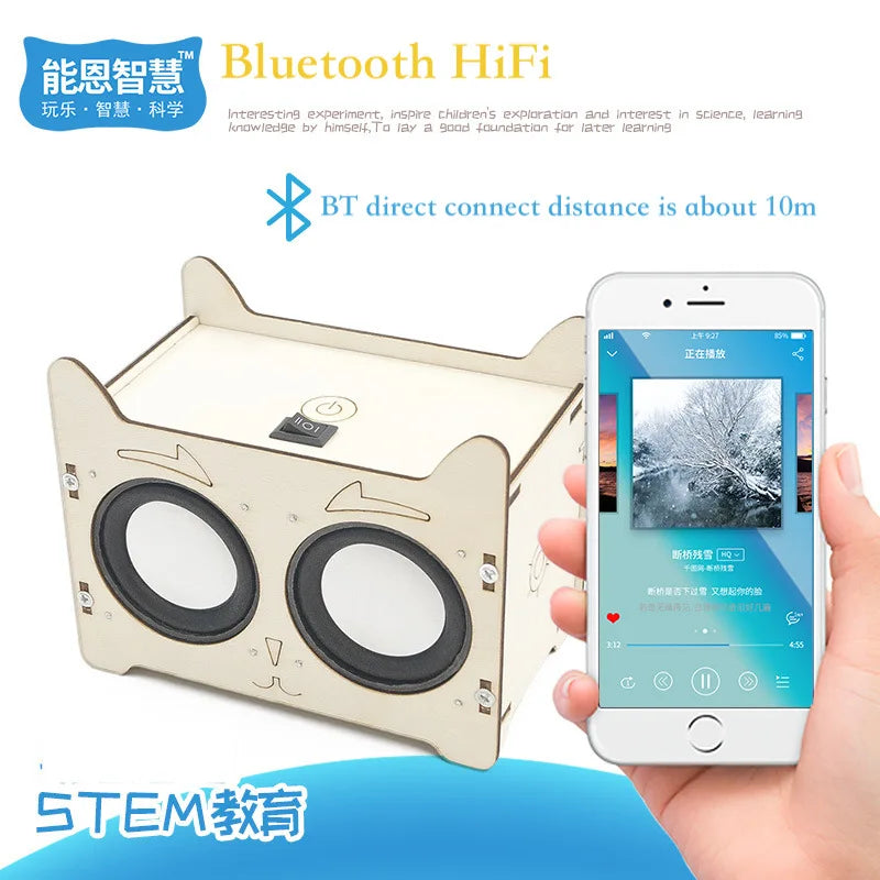 DIY HiFi Voice Box Music Player Science Kit