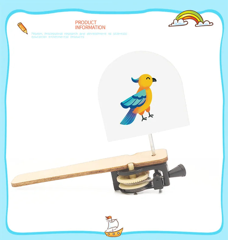 DIY Caged Bird STEM Model