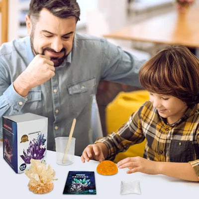 Crystal Growing Science Experiment Kit