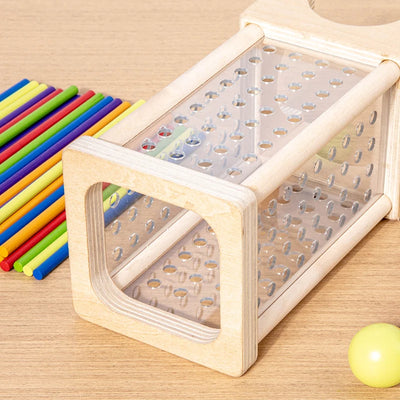Montessori Stick Puzzle – Acrylic Cylinder Strategy Toy