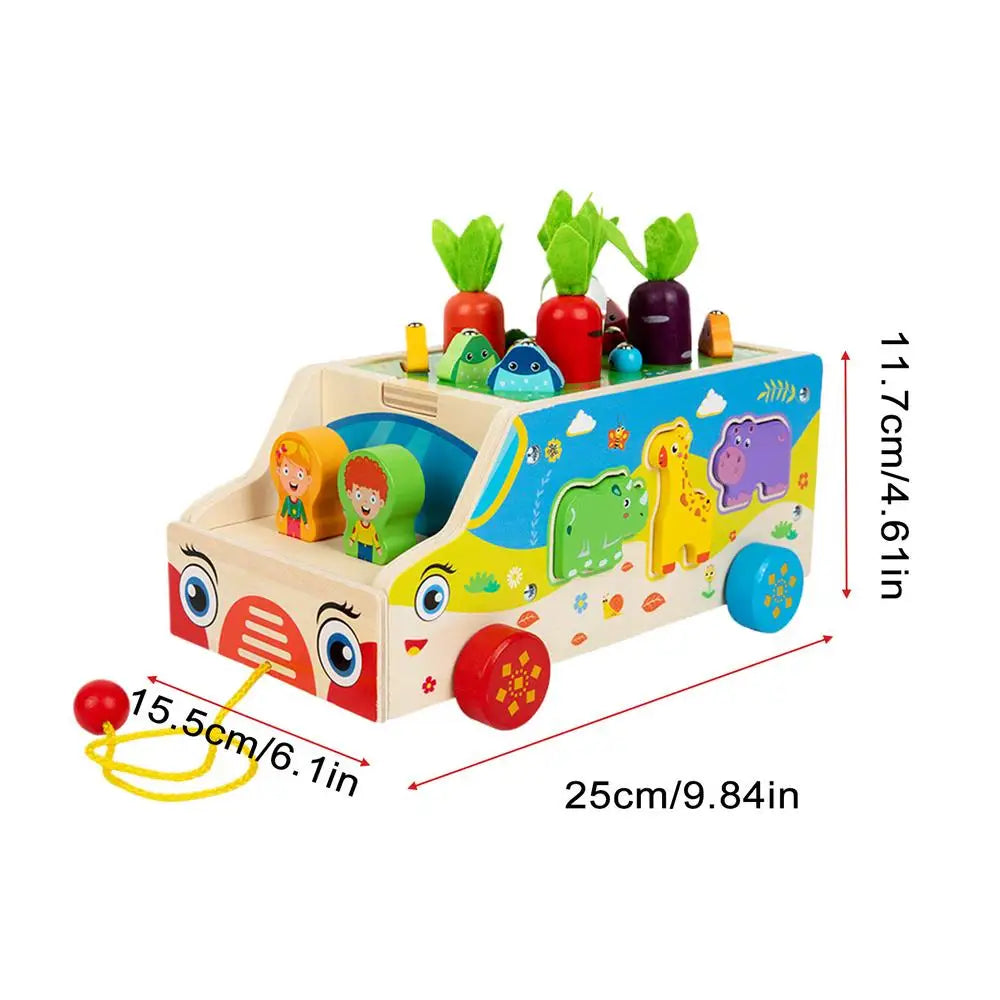 Montessori Carrot Sorting Puzzle Box