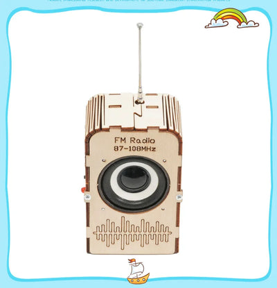 Radio Receiver DIY Science Model
