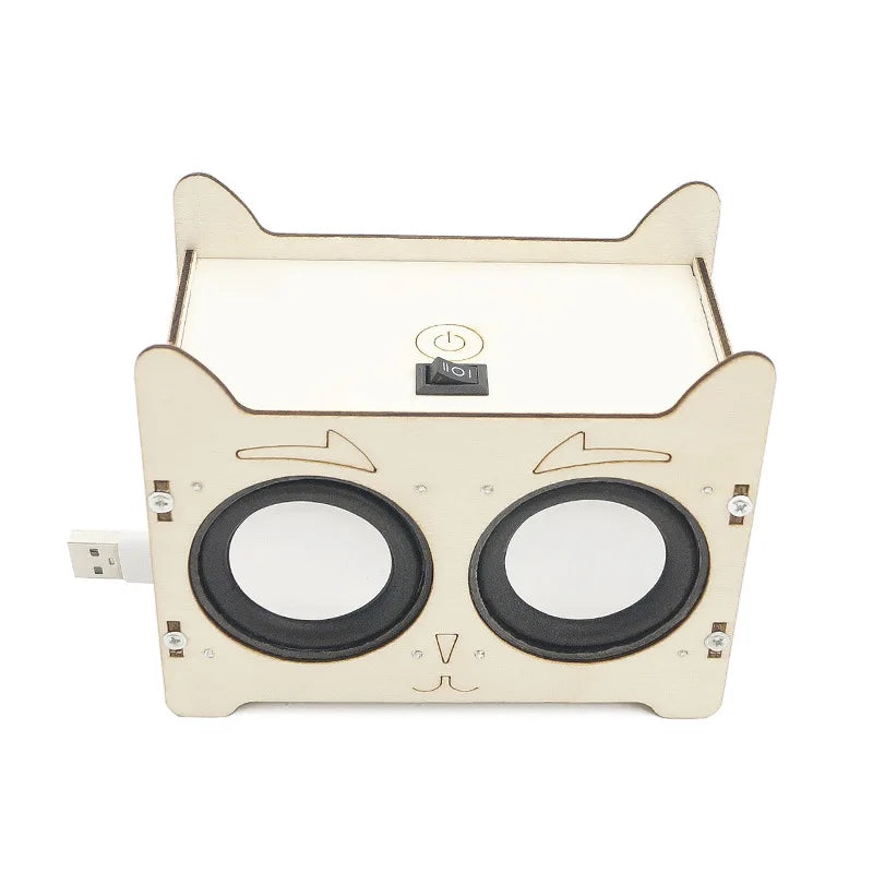 DIY HiFi Voice Box Music Player Science Kit