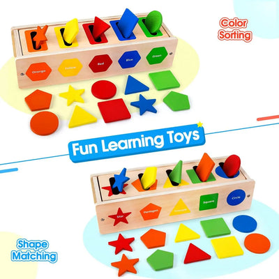 Montessori Fine Motor Activity - Educational Sorting Toy