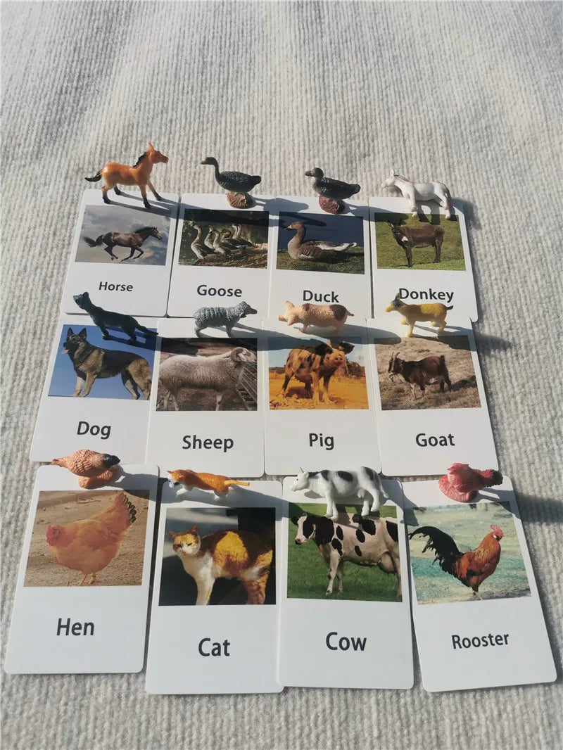 Montessori Animal Matching Board – Wooden Learning Toy with Cards